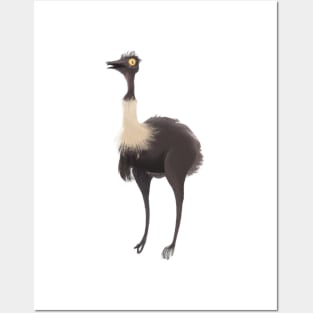 Cute Emu Drawing Posters and Art